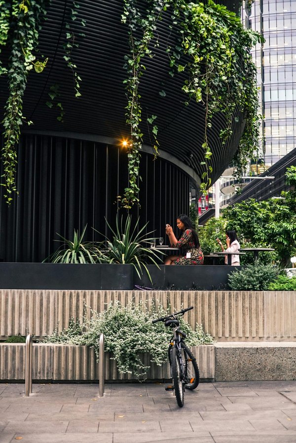 Jardinage urbain : réussissez votre potager en ville